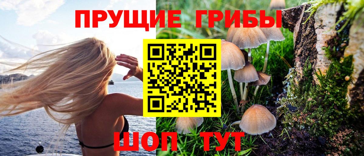Галлюциногенные грибы мицелий Буйнакск