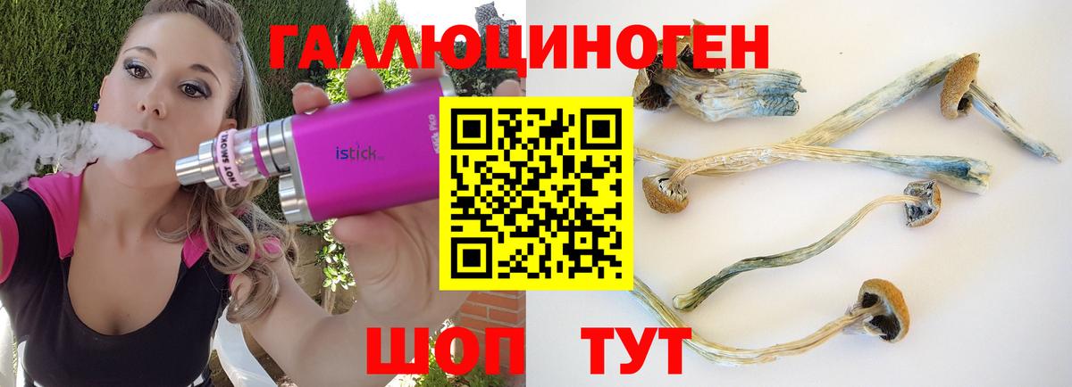 Галлюциногенные грибы прущие грибы  Вход с VPN  купить закладку  Буйнакск  Галлюциногенные грибы MAGIC MUSHROOMS 